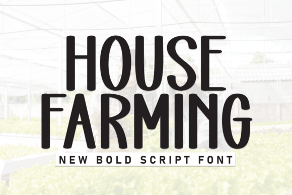 House Farming: The Casual Display Font for Modern Campaigns